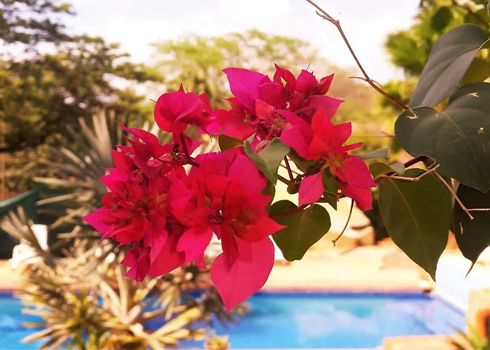 Nahua 3* Potrero (Guanacaste)